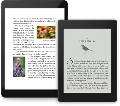 iPad and Kindle showing example pages with images